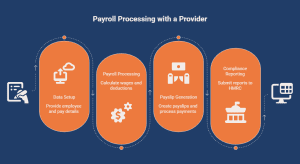 Payroll provider workflow showing data setup, payroll processing, payslip generation, and compliance reporting steps