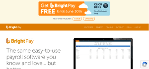 Screenshot of Homepage of BrightPay.