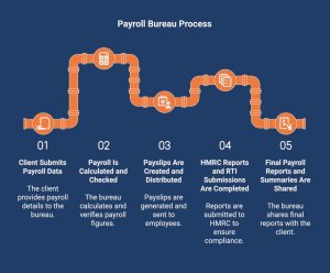 Infographic showcasing the payroll bureau steps.