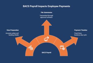 How Does BACS Payroll Work_ - visual selection