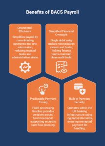 Why Do Employers Use BACS Payroll Payments_ - visual selection