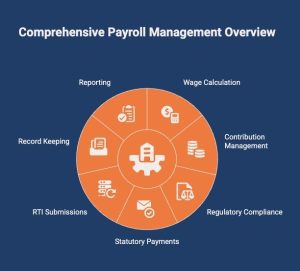 Comprehensive Payroll Management Overview