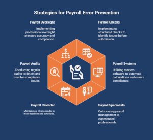 Infographic on How Can Businesses Prevent Payroll Errors_ - visual selection