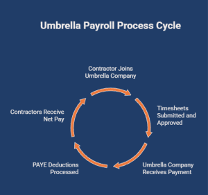 Infographic showing the umbrella payroll process cycle, including contractor onboarding, timesheet approval, umbrella company payment processing, PAYE deductions, and contractor net pay distribution.
